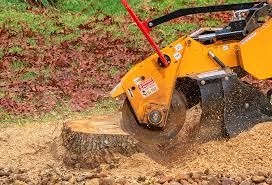 Best Tree Mulching  in Johnston City, IL